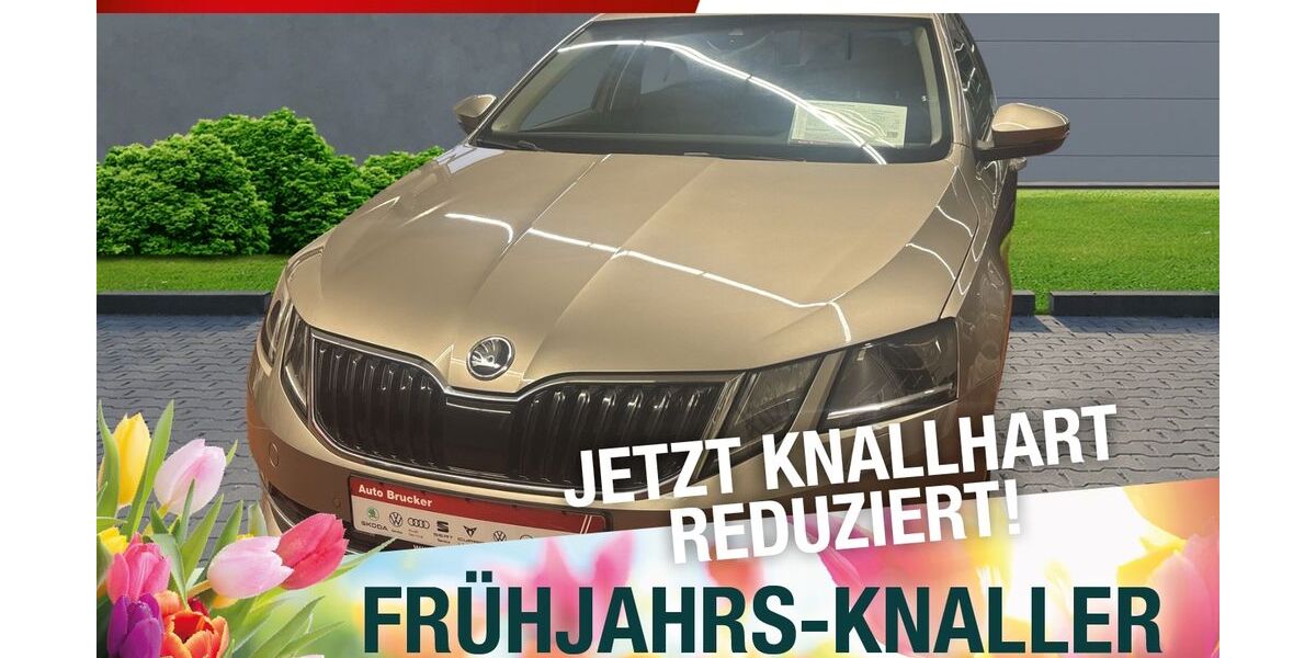 Skoda Octavia 162.062 km 14.470 &euro; Marktredwitz 95615