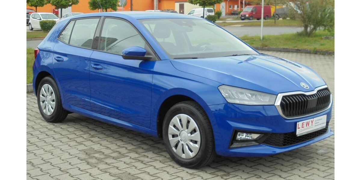 Skoda Fabia 45.583 km 12.900 &euro; Elsterwerda 04910