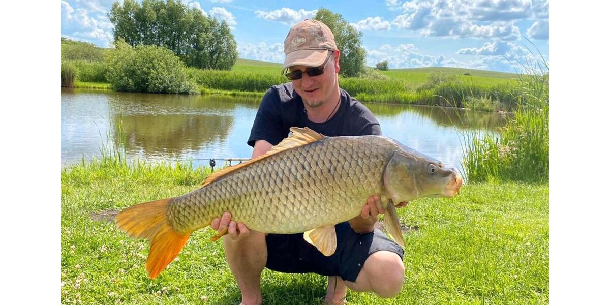 Ferienimmobilie Dortmund Gartenstadt - 75&euro; | Angebot:25990285