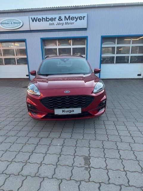 Kuga