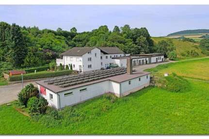 Halle in Trendelburg 775.000 € 400 m²