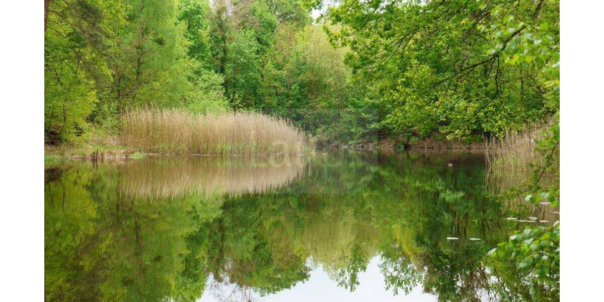 Grundstück Coswig (Anhalt) Coswig - 50.000&euro; | Angebot:26672601