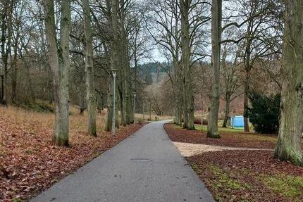 Mietwohnung 3 zimmer