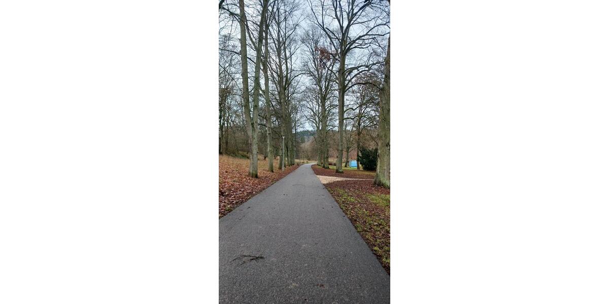 Mietwohnung 3 zimmer