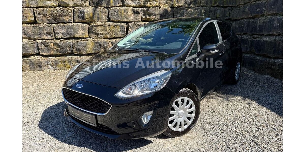 Ford Fiesta 229.000 km 6.470 &euro; Bad Rappenau 74906