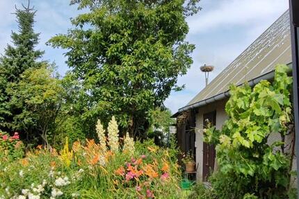 Verkauf von Haus u. Grundstück in Ostseenähe 7 zimmer