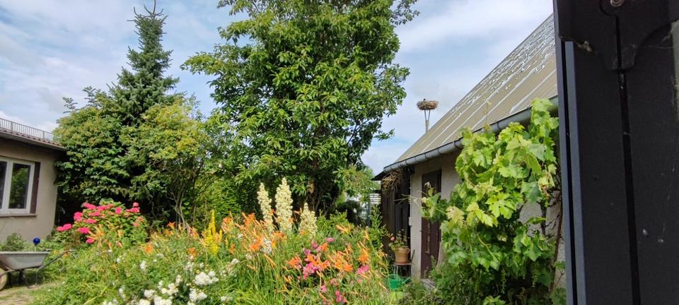 Verkauf von Haus u. Grundstück in Ostseenähe 7 zimmer