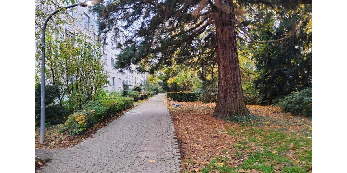 Erdgeschoßwohnung Freiburg im Breisgau Haslach - 3 Zimmer, 80 m&sup2;, 328.978&euro; | Angebot:23397468