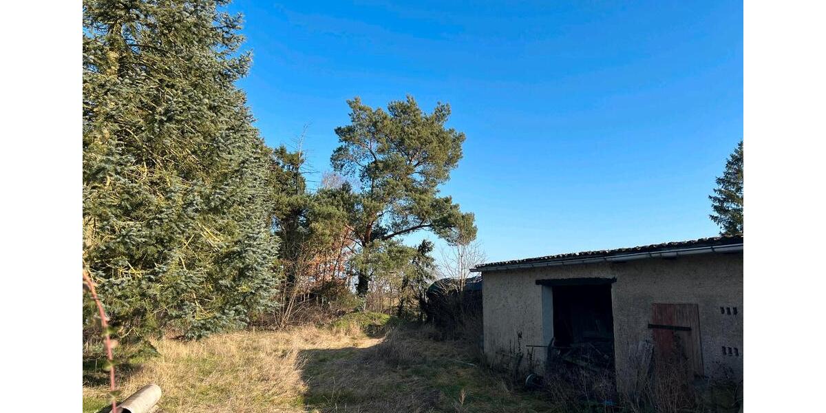Bauernhaus, Landhaus Bismark (Altmark) - 50.000&euro; | Angebot:25793918