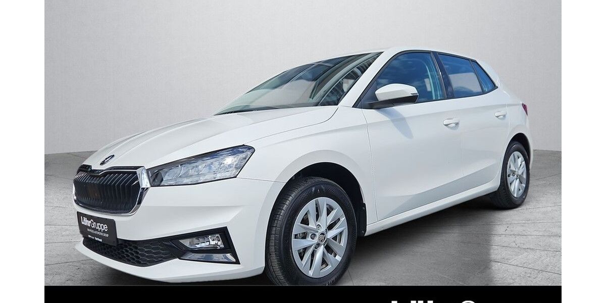 Skoda Fabia 12.740 km 15.480 &euro; Daun 54550