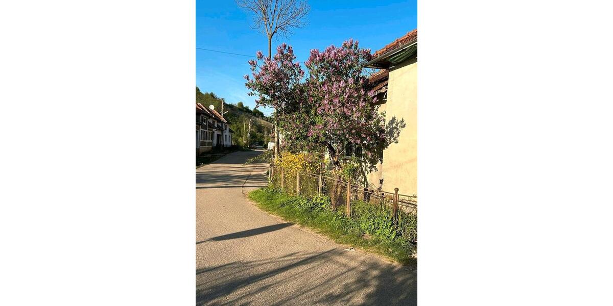 Einfamilienhaus Potsdam Krampnitz - 6 Zimmer, 170 m&sup2;, 68.000&euro; | Angebot:27017571