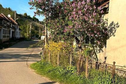 Haus Potsdam Krampnitz - 6 Zimmer, 170 m&sup2;, 68.000&euro; | Angebot:27017571