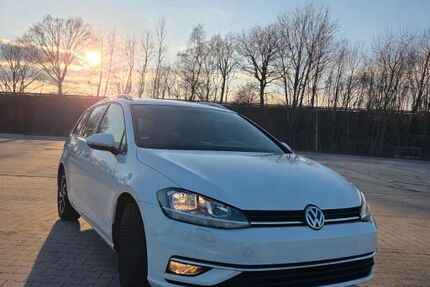 VW Golf 133.900 km 12.500 &euro; Meppen 49716