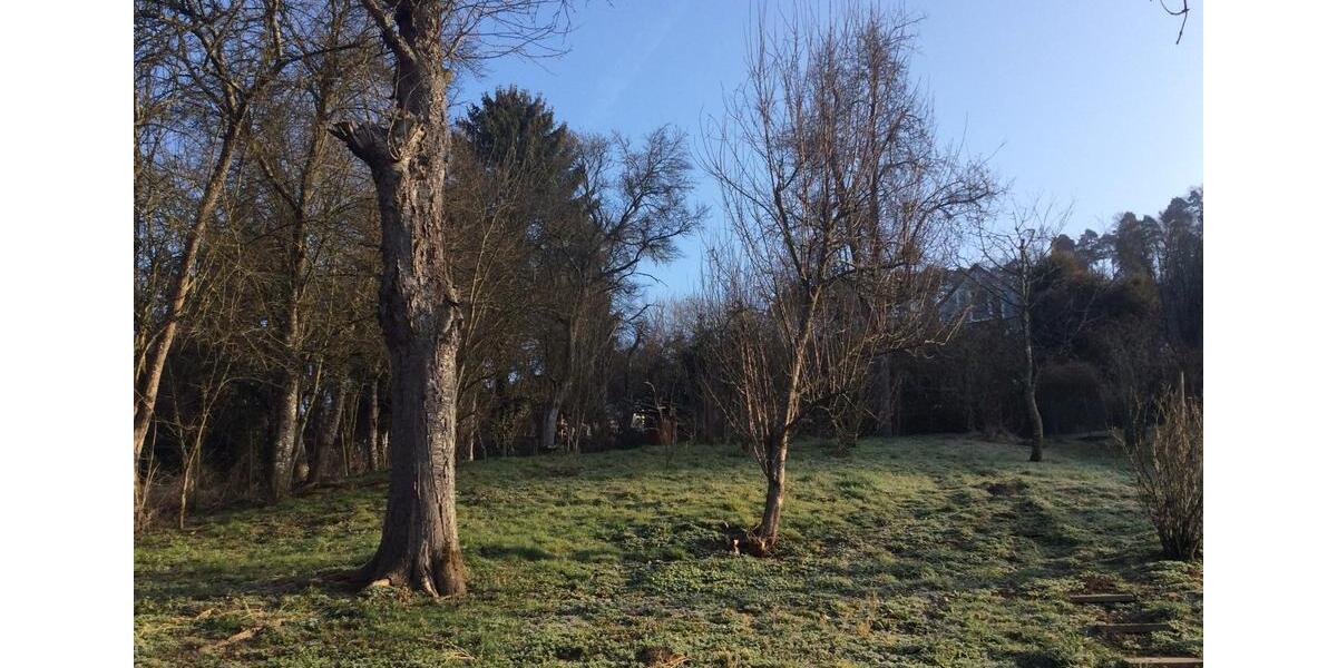 Einfamilienhaus Eigeltingen - 4 Zimmer, 80 m&sup2;, 750&euro; | Angebot:25291422