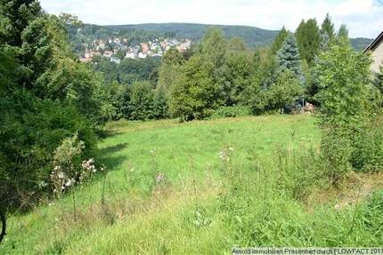 Grundstück Sebnitz - 18.000&euro; | Angebot:25748988