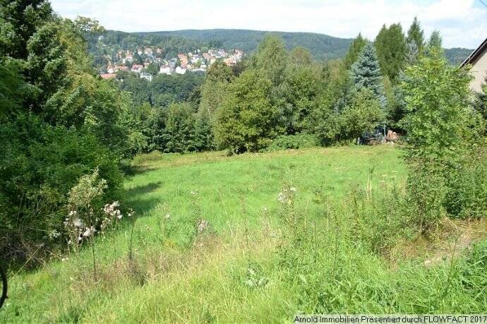 Grundstück Sebnitz - 18.000&euro; | Angebot:25748988