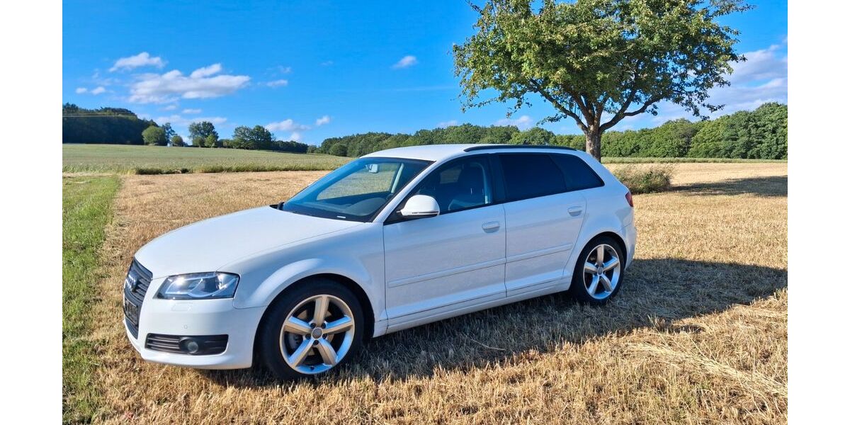 Audi A3 175.000 km 5.200 &euro; Hassenbach 97723