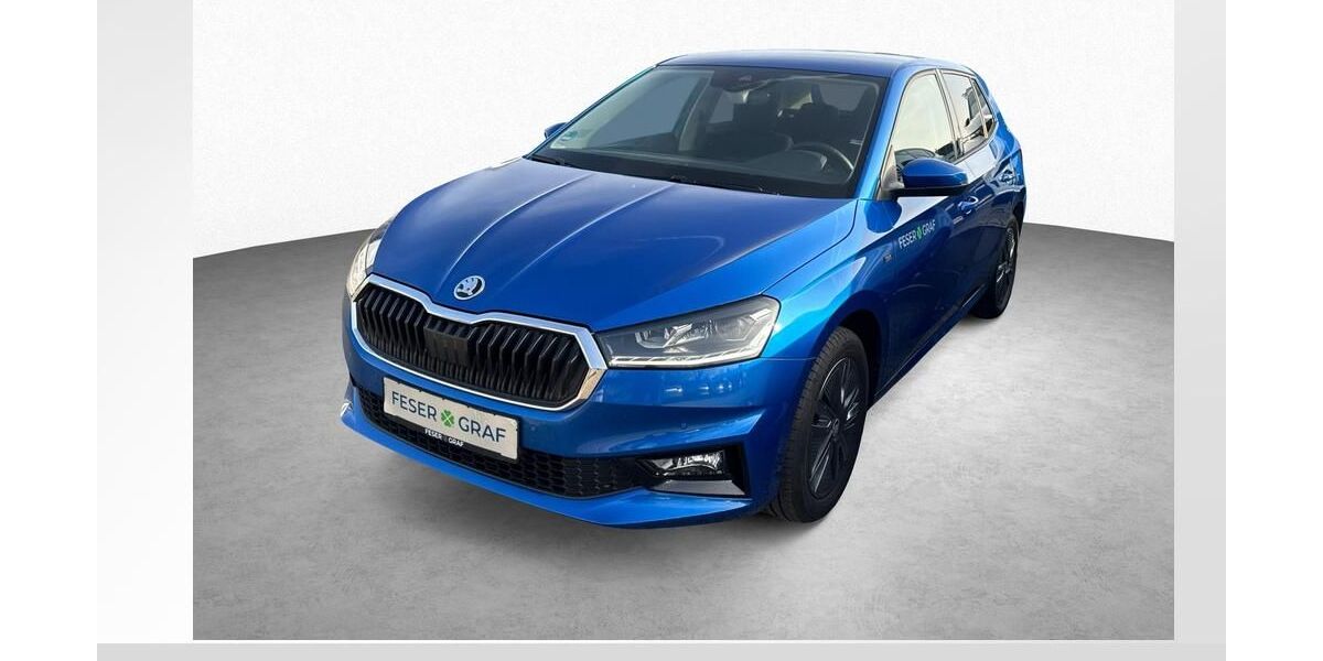 Skoda Fabia 4.900 km 18.480 &euro; Roth 91154