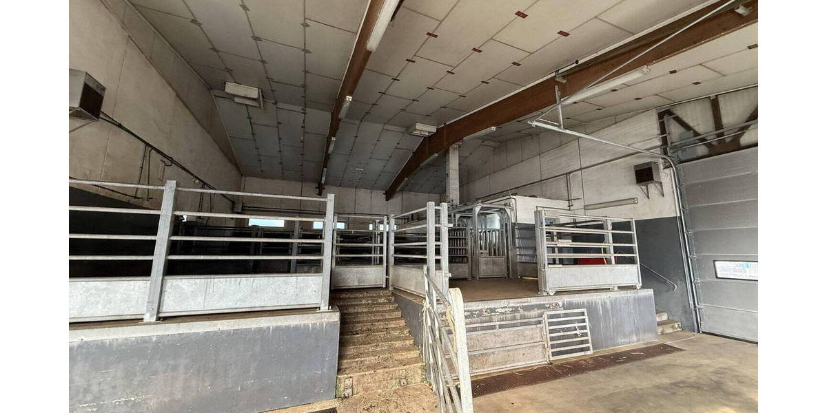 Grundstück Wittingen - 399.000&euro; | Angebot:26226264