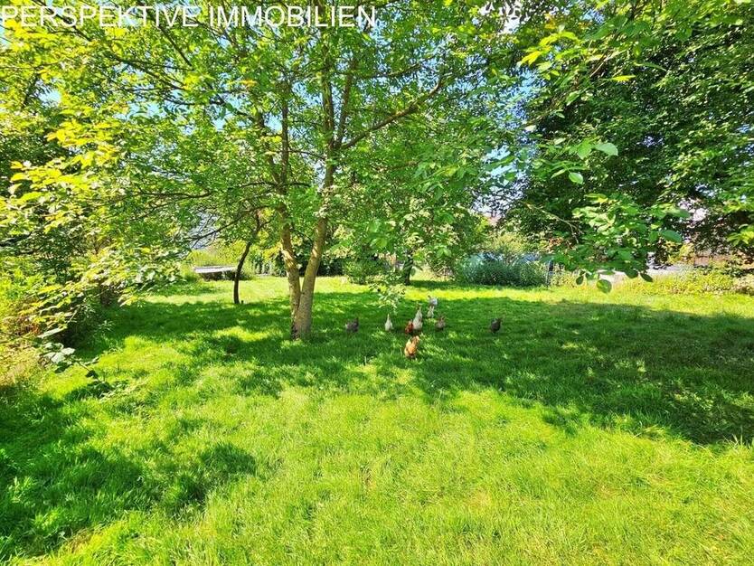 Baugrundstück im Grünen und doch zentral in der Kurstadt zimmer