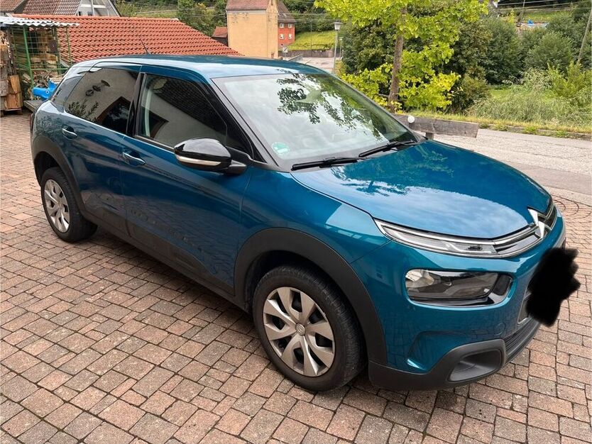 C4 Cactus
