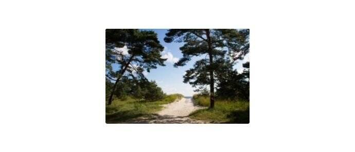 Auf der Sonneninsel Usedom haben wir Ihr das passende Bau-Grundstück, für Ihr neues Leben mit Ostsee-Strand + Segeln + Golfen - Grundstück Peenemünde | Angebot:26086140