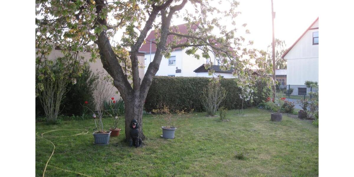 Einfamilienhaus Gröditz - 6 Zimmer, 120 m&sup2;, 85.000&euro; | Angebot:26618714