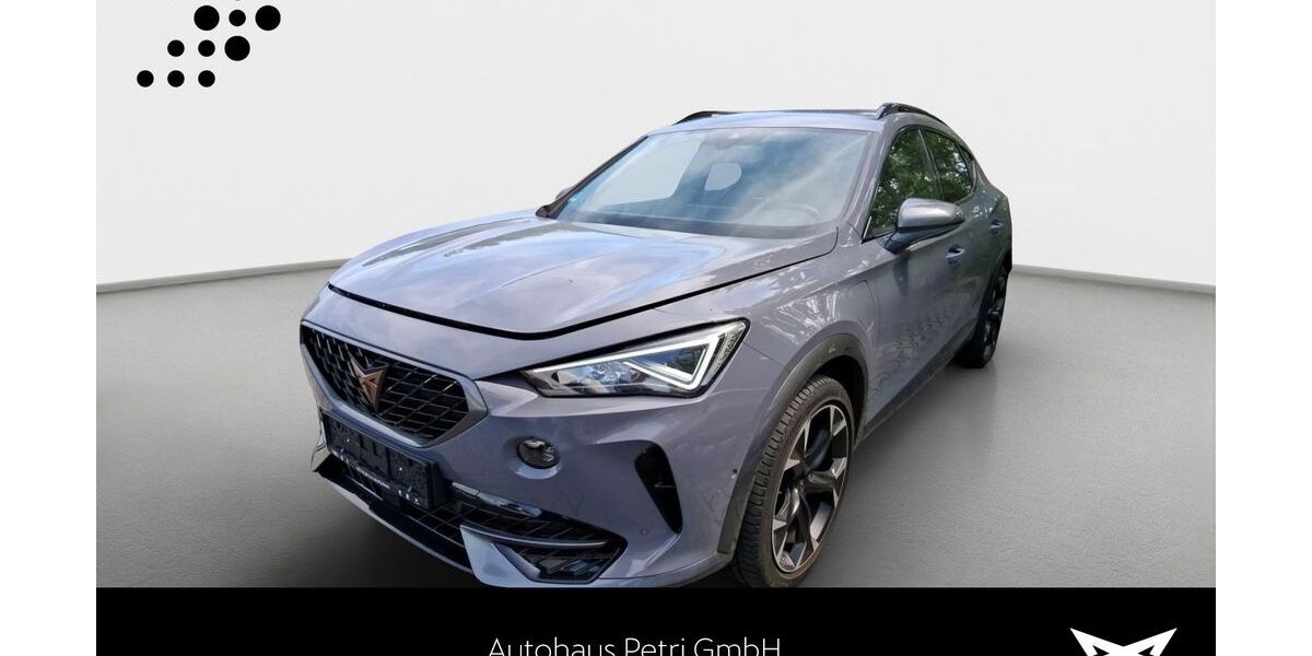 Cupra Formentor 71.843 km 24.990 &euro; Hofheim-Diedenbergen 65719
