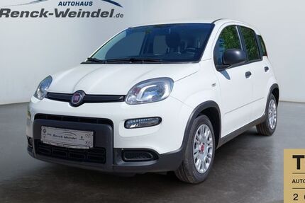 Fiat Panda 32.469 km 12.489 &euro; Speyer 67346