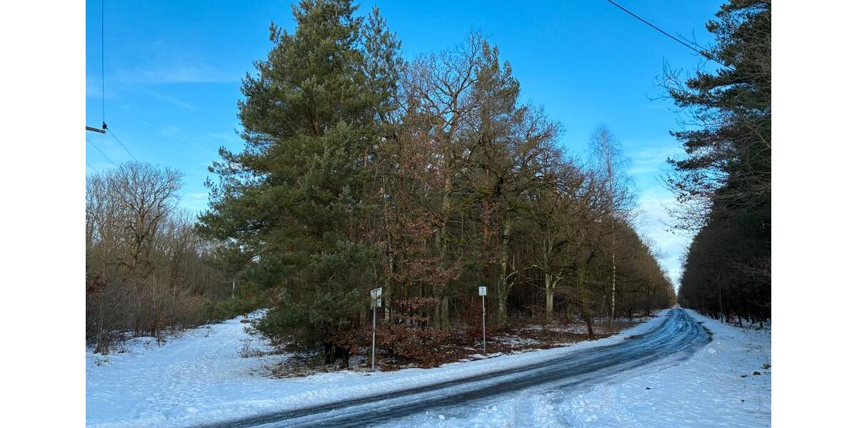 Grundstück Klötze - 15.000&euro; | Angebot:24832010