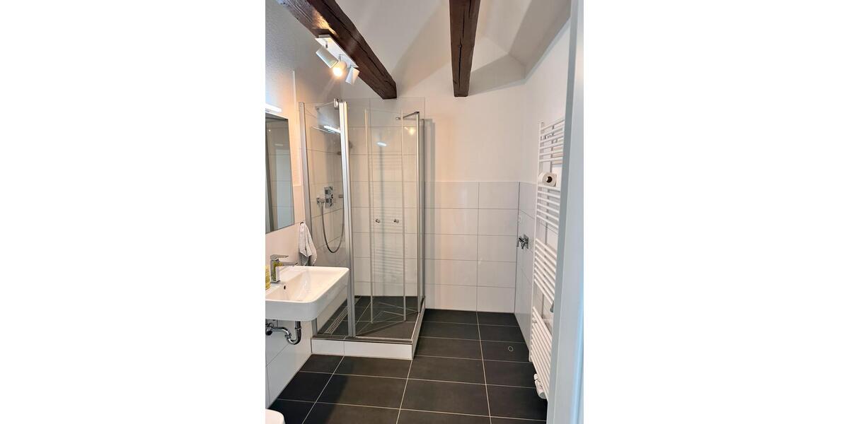 Dachgeschoßwohnung Rastatt - 1 Zimmer, 65 m&sup2;, 800&euro; | Angebot:26004517