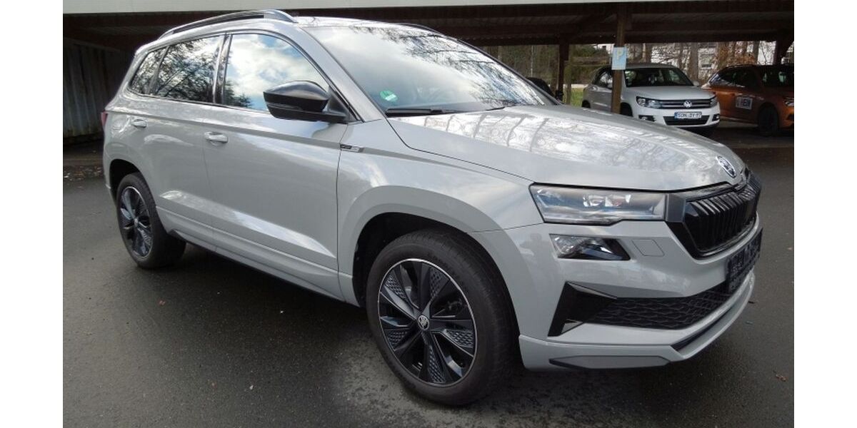 Skoda Karoq 17.085 km 34.565 &euro; Föritztal OT Neuhaus-Schierschnitz 96524