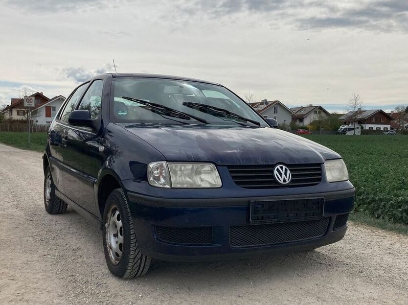 Polo