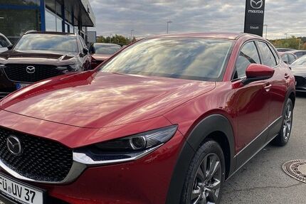 Mazda CX-30 2.338 km 33.460 € Zirndorf 90513