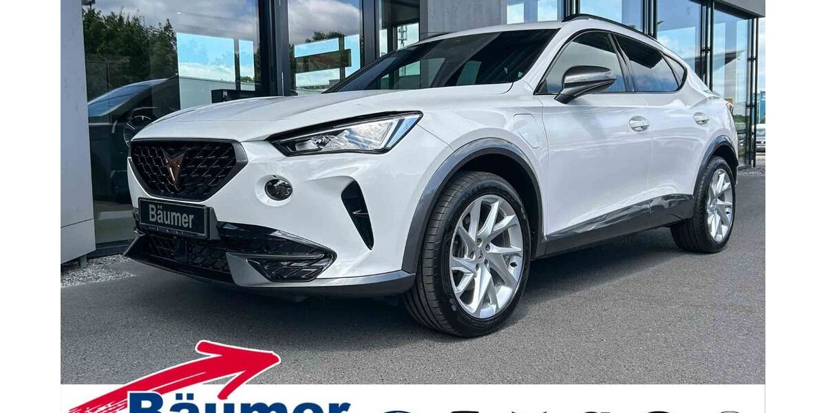 Cupra Formentor 113.048 km 24.490 &euro; Ibbenbüren 49479