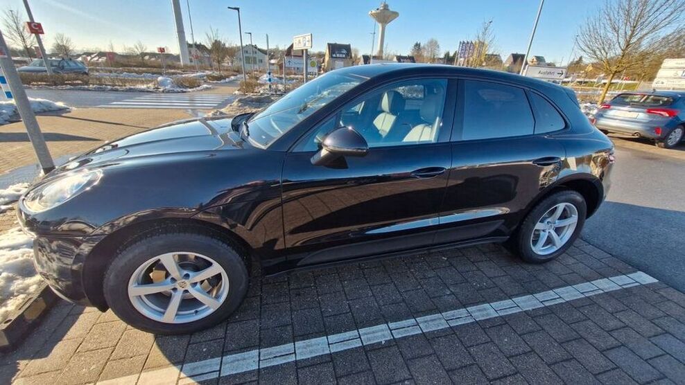 Macan