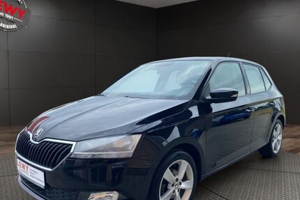 Skoda Fabia 156.550 km 7.690 &euro; Elsterwerda 04910