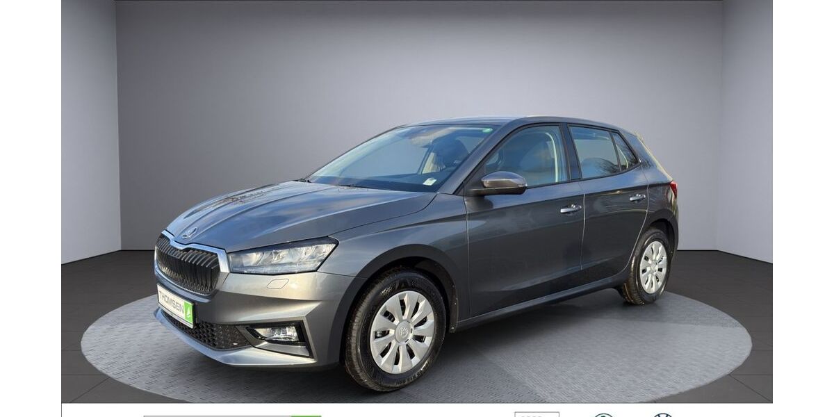 Skoda Fabia 1.100 km 17.990 &euro; Kropp 24848