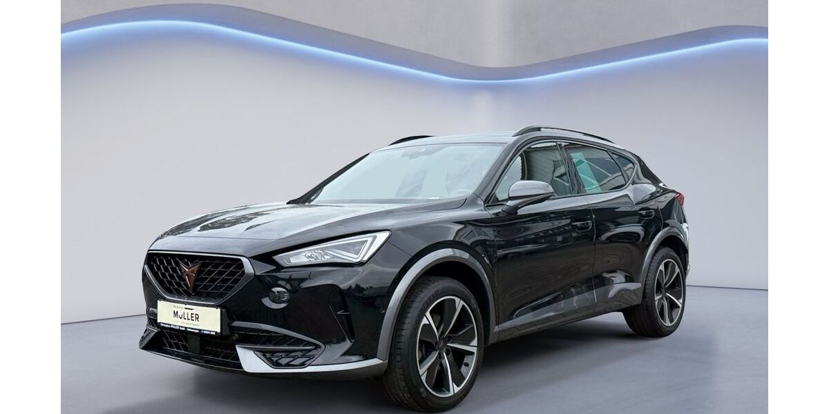 Cupra Formentor 40.247 km 22.500 &euro; Schleusingen 98553