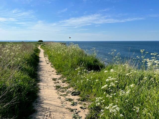 Etagenwohnung Boltenhagen Redewisch - 3 Zimmer, 64 m&sup2;, 329.000&euro; | Angebot:26318162