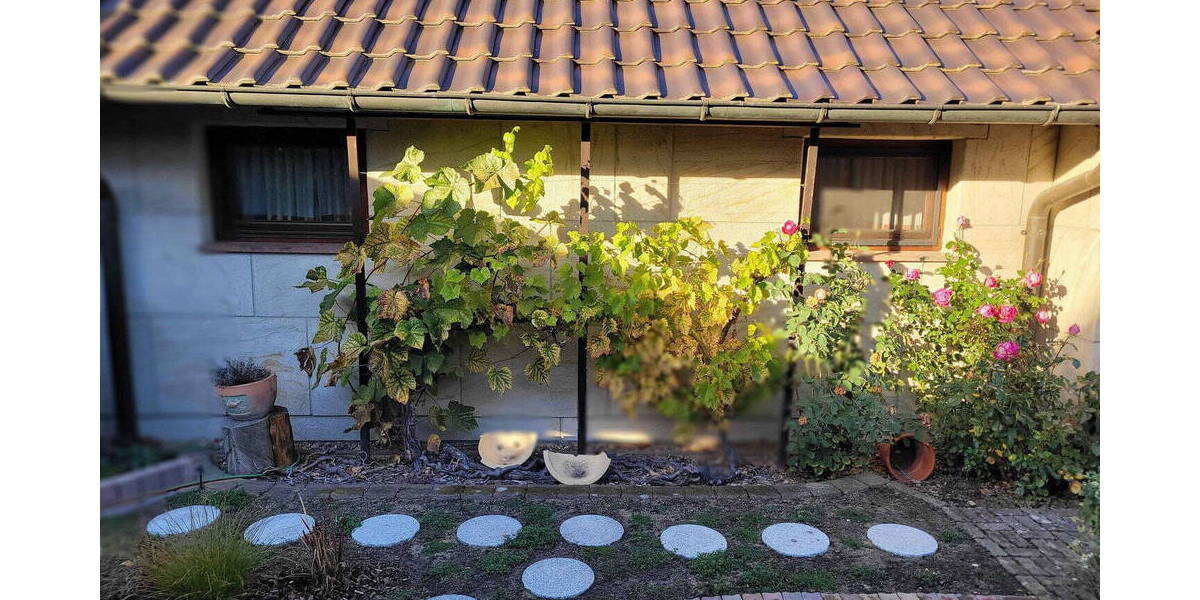 Mehrfamilienhaus, Wohnhaus Cottbus Döbbrick - 1 Zimmer, 310 m&sup2;, 590.000&euro; | Angebot:26487497