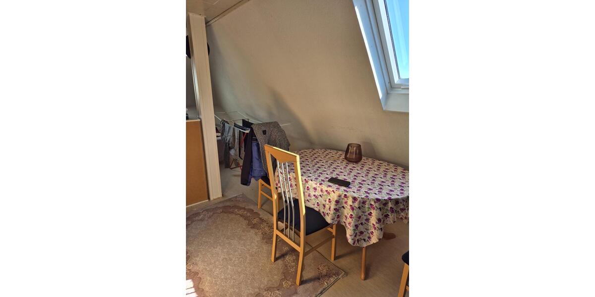 Dachgeschoßwohnung Worms - 2 Zimmer, 60 m&sup2;, 750&euro; | Angebot:26394049