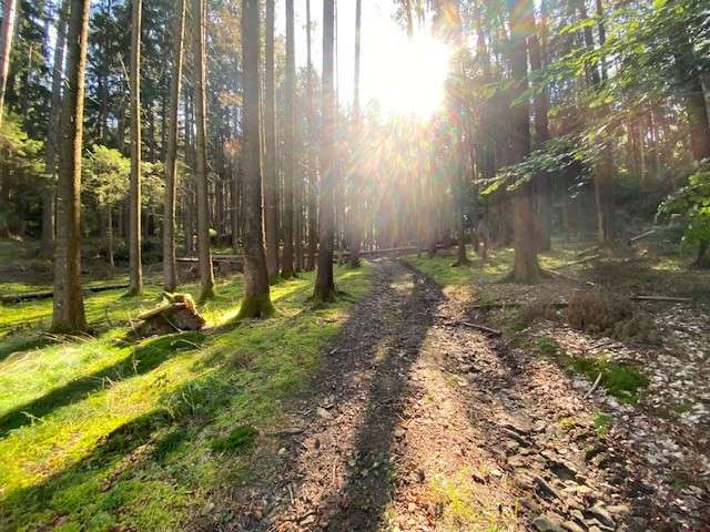 Grundstück Pentling / Matting Matting - 18.500&euro; | Angebot:16928549