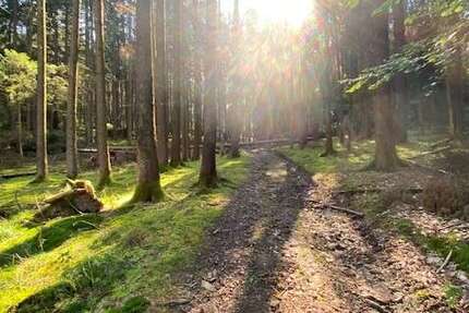 Grundstück zu verkaufen in Pentling Matting 18.500 € 2193 m² zimmer