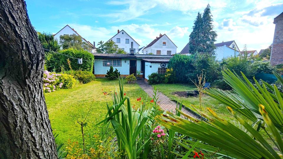 Mehrfamilienhaus, Wohnhaus Offenbach am Main Bürgel - 7 Zimmer, 207 m&sup2;, 599.000&euro; | Angebot:27127038