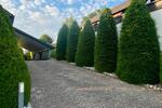 Einfamilienhaus Allersberg Eismannsdorf - 7 Zimmer, 230 m&sup2;, 840.000&euro; | Angebot:27093200