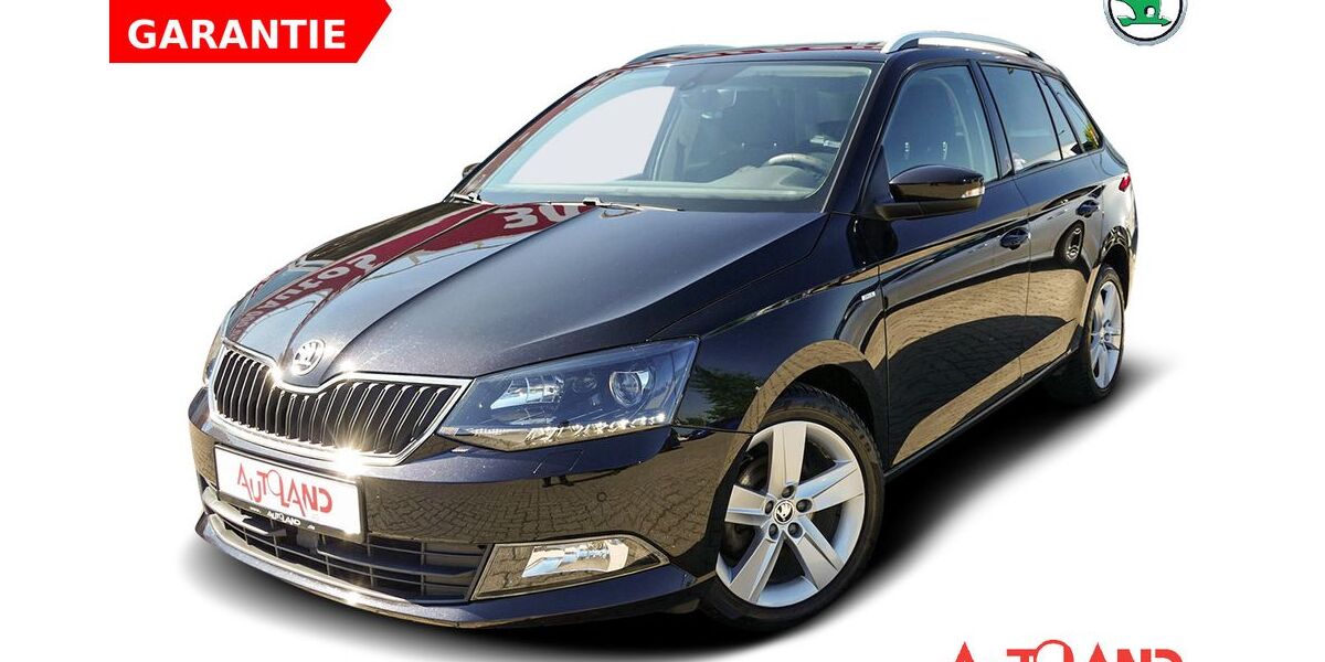 Skoda Fabia 73.478 km 11.990 &euro; Greifswald 17489