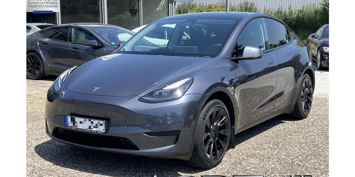 Tesla Model Y 34.900 km 33.900 &euro; Neustadt-Speyerdorf 67435