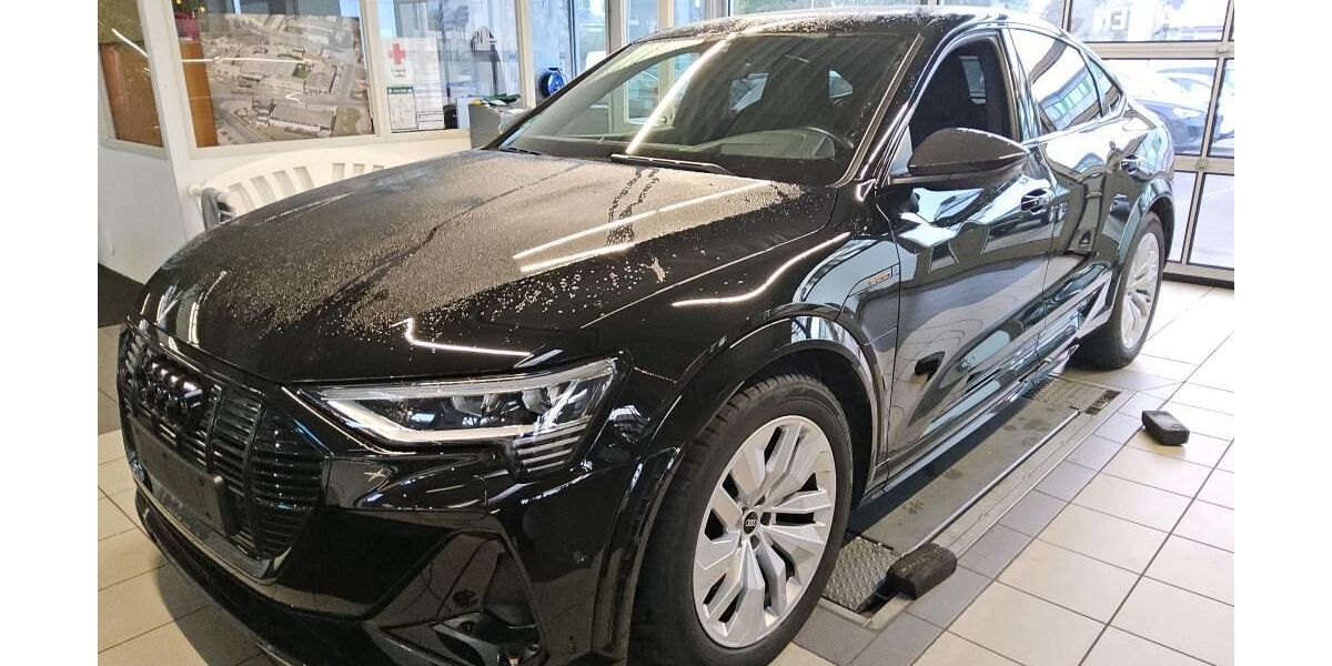 Audi e-tron 49.555 km 44.890 &euro; Magdeburg 39128
