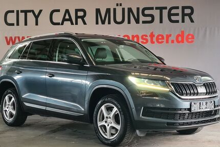 Skoda Kodiaq 245.000 km 18.999 &euro; Münster 48165